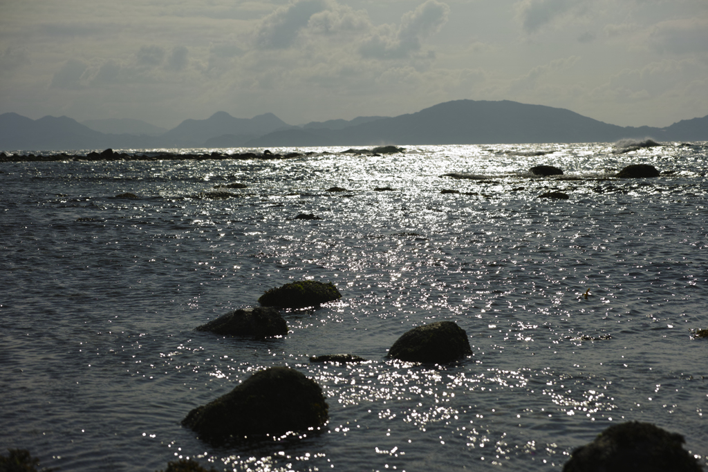 20200302_母なる海と母なる大地