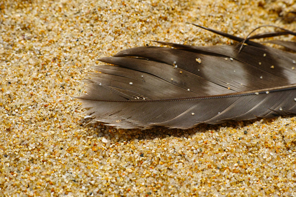 空の贈り物_20200428