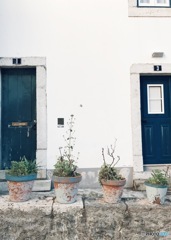植木鉢とドア