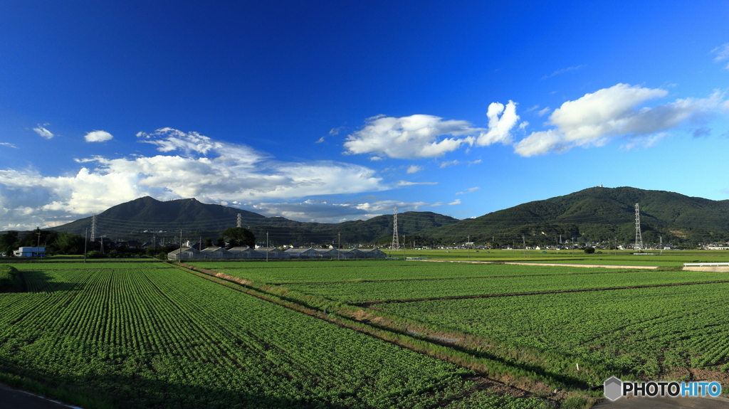 夏の終わり
