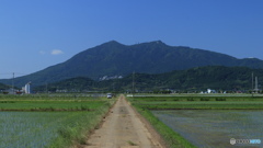 新緑の筑波山