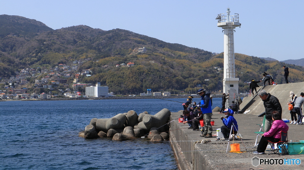 伊豆の海釣り