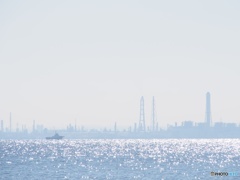 海