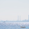 海