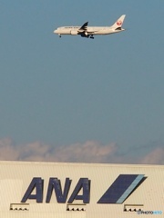 JAL だけど ANA