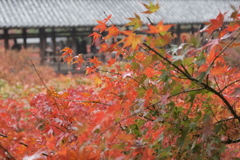 東福寺２