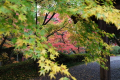 今熊野観音寺