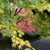 今熊野観音寺