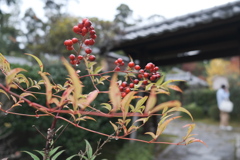 東福寺１