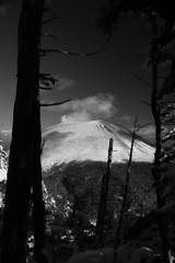 噴煙をあげる浅間山