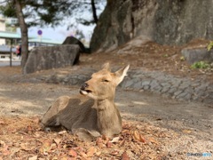 まぶしい？