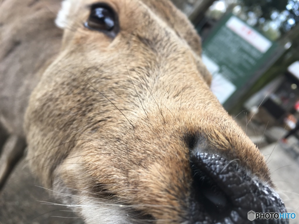 はじめまして