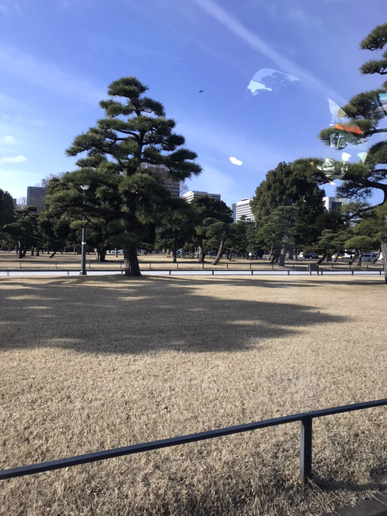 自然の美しさに感嘆する