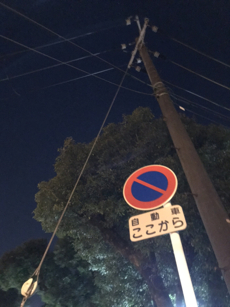 日本の電柱について思うこと