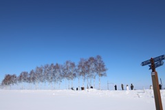 北海道撮影旅行その10