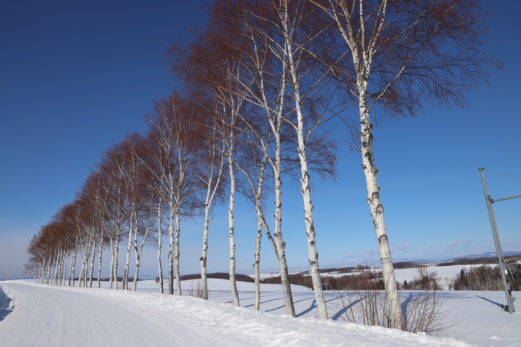 北海道撮影旅行その7