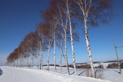 北海道撮影旅行その7