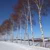 北海道撮影旅行その7
