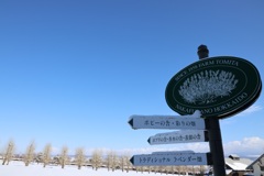 北海道撮影旅行 その1