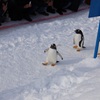 北海道撮影旅行その9