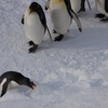 北海道撮影旅行その8