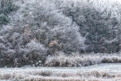 IMG_20200105_101404_997