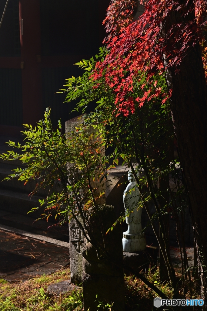 愛宕念仏寺