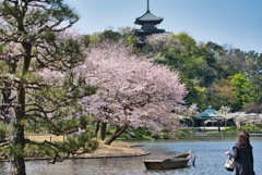 横浜三渓園 #1