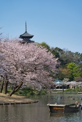 横浜三渓園 #4