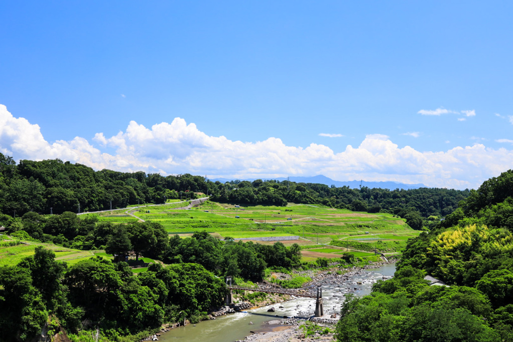 橋の上から夏空