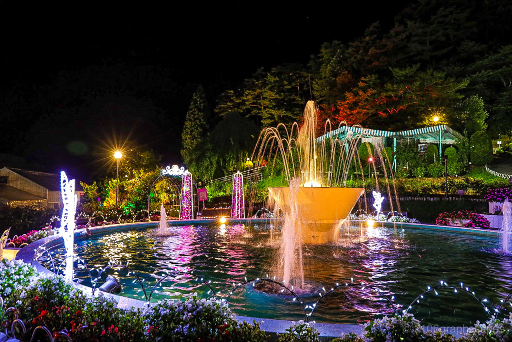 夜空を彩る薔薇公園