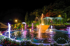 夜空を彩る薔薇公園