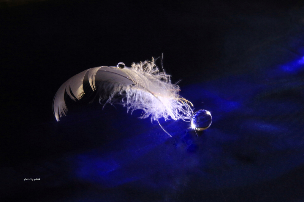 78A7B1B6-C4FB-4143-84ED-72569A5A42D0