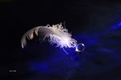 78A7B1B6-C4FB-4143-84ED-72569A5A42D0