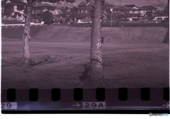 キエフⅡ型で、超古いTXを使って撮した写真②