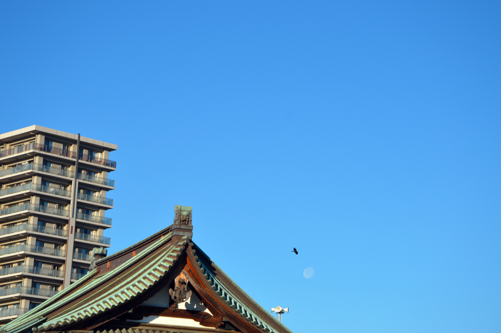 お寺とマンションの街・三島①