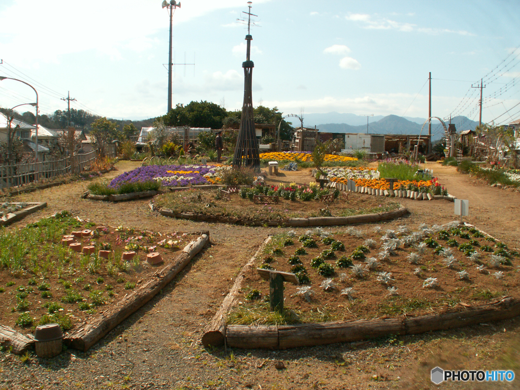 町内徘徊④（街角にてシリーズ）