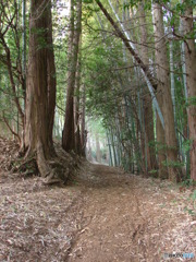 暮色の我が街散歩　②