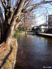 白滝公園にて⑥