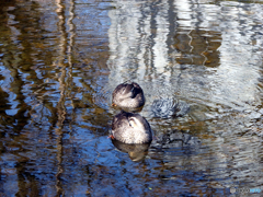 白滝公園にて①