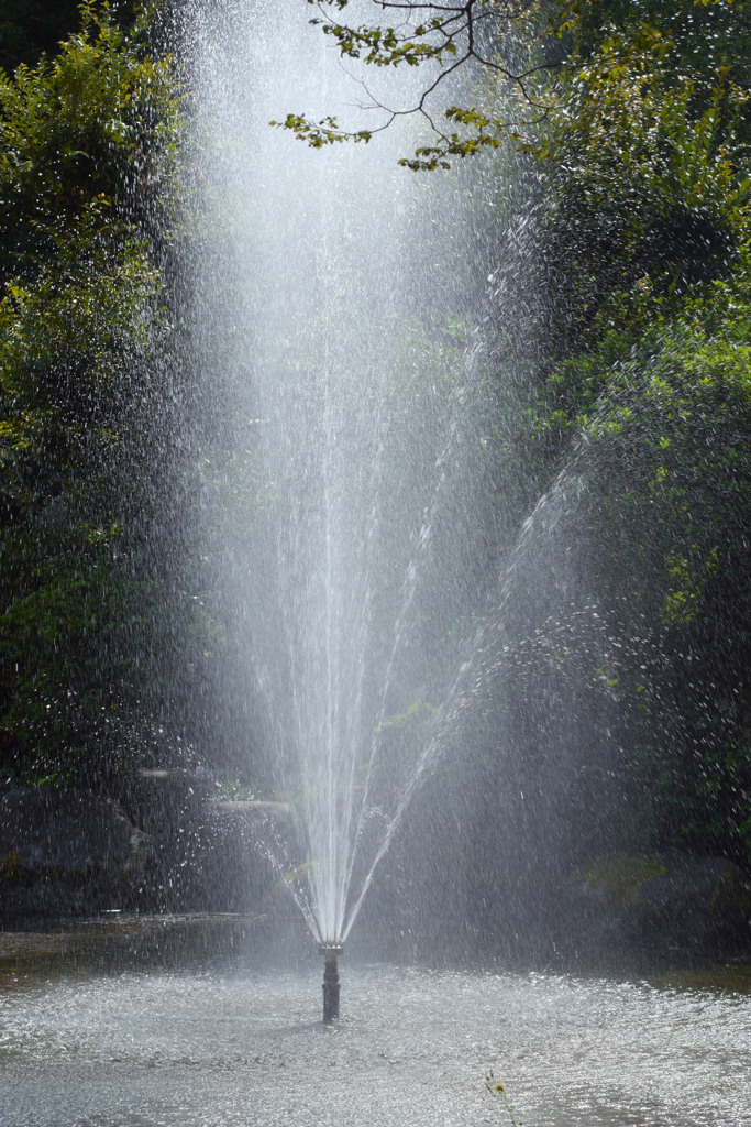 湧水の公園-⑨