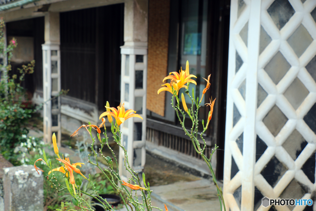 風情の残る街・西伊豆松崎町（建物編）2018-➃