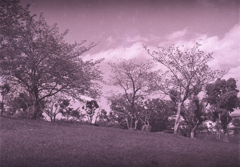 ヤシカエレクトロ35GSN ①