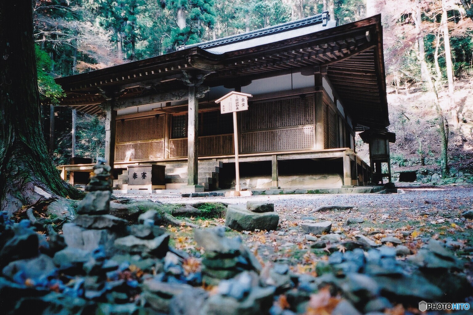 秋の高山寺　➁