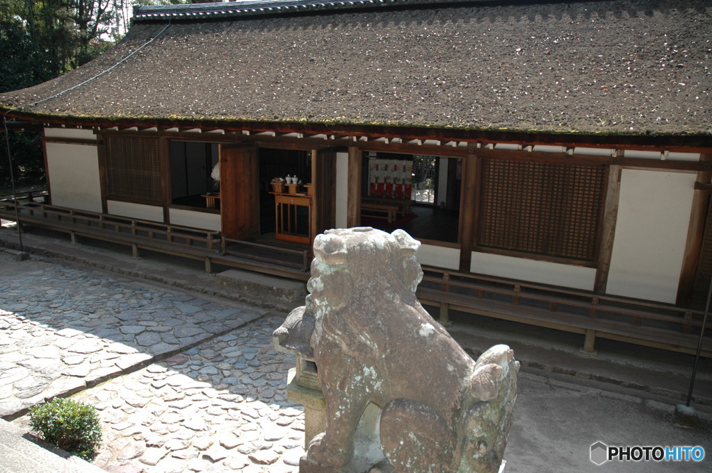 宇治上神社裏 2005