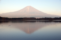 昨日の富士山は赤富士か紅富士か？-➃
