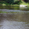 湧水の公園-➅