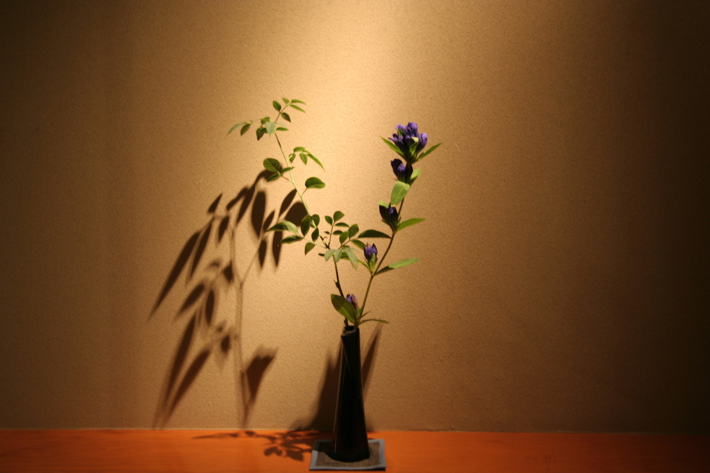 旅の宿 2009-①