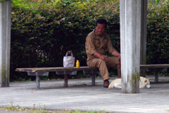 今日のお散歩の友は 200616-③