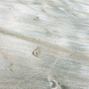 弓ヶ浜ウオーキング200527-⑧